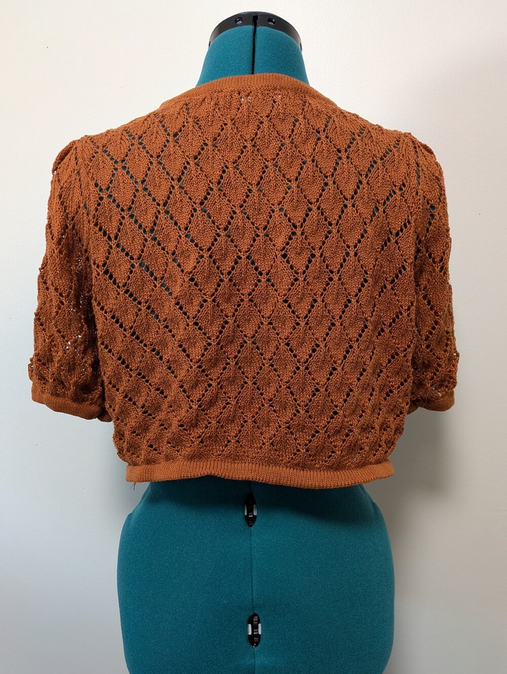 And Now This Rust Orange Open-Knit Short Sleeve Crop Sweater - Picture 3 of 6